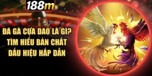 Đặc điểm khiến đá gà cựa dao được các cược thủ yêu thích