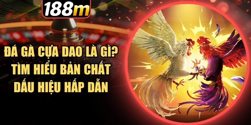 Đặc điểm khiến đá gà cựa dao được các cược thủ yêu thích
